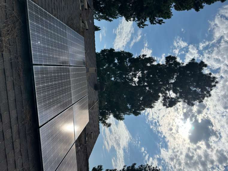 Trees Shading Solar Panels