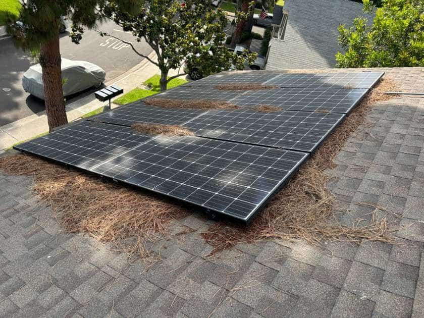 Debris Buildup on Solar Panels